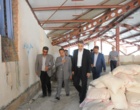بازدید معاون وزیر علوم از پروژه های عمرانی دانشگاه ارومیه(گزارش تصویری)