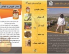 تولید محصولات زنبور عسل در دانشگاه ارومیه