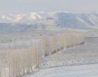 دانشگاه ارومیه سفید پوش شد (گزارش تصویری)