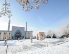 دانشگاه ارومیه سفید پوش شد (گزارش تصویری)