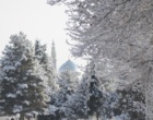 دانشگاه ارومیه سفید پوش شد (گزارش تصویری)
