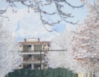 دانشگاه ارومیه سفید پوش شد (گزارش تصویری)