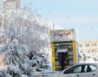 دانشگاه ارومیه سفید پوش شد (گزارش تصویری)