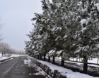  زمستان زیبای برفی در مرکز آموزش عالی شهید باکری میاندوآب