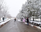  زمستان زیبای برفی در مرکز آموزش عالی شهید باکری میاندوآب