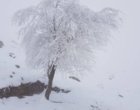 صعودی دیگر توسط گروه کوهنوردی دانشگاه ارومیه (گزارش تصویری)