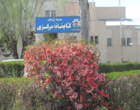 گلهای بهاری زینت بخش دانشگاه ارومیه (گزارش تصویری)