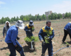 طرح کشت یک هکتار گل محمدی به عنوان الگوی کشت در دانشگاه ارومیه 