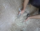 بهسازی سیستم های سرمایشی دانشگاه ارومیه 