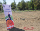 برنامه روز جهانی ورزش دانشجویی در دانشگاه ارومیه / از کلنگ زنی تا مسابقات ورزشی