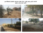 اقدامات اجرایی در حوزه فضای سبز پردیس شهر دانشگاه اروميه به همت مديريت امور پشتيباني