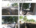 اقدامات اجرایی در حوزه فضای سبز پردیس شهر دانشگاه اروميه به همت مديريت امور پشتيباني