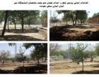 اقدامات اجرایی در حوزه فضای سبز پردیس شهر دانشگاه اروميه به همت مديريت امور پشتيباني