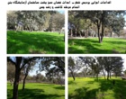 اقدامات اجرایی در حوزه فضای سبز پردیس شهر دانشگاه اروميه به همت مديريت امور پشتيباني