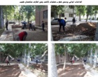 اقدامات اجرایی در حوزه فضای سبز پردیس شهر دانشگاه اروميه به همت مديريت امور پشتيباني