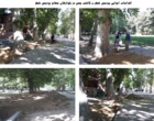 اقدامات اجرایی در حوزه فضای سبز پردیس شهر دانشگاه اروميه به همت مديريت امور پشتيباني
