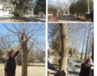 اقدامات صورت گرفته در دانشکده کشاورزی دانشگاه اروميه به همت مديريت امور پشتيباني
