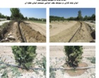 احداث پارک در محوطه روبروی ساختمان مرکزی دانشگاه اروميه به همت مديريت امور پشتيباني