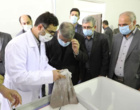 بازدید استاندار آذربایجان غربی از مرکز مرجع فراوری و عمل آوری سیست آرتمیا در دانشگاه ارومیه (+فیلم)
