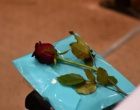 تجلیل از اساتید منتخب دانشگاه ارومیه 