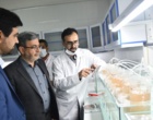 همزمان با سفر رییس جمهور به آذربایجان غربی با حضور معاون وزیر علوم؛ میز ارتباطات مردمی وزارت علوم در ارومیه برپا شد/ افتتاح دو پروژه بهسازی شده در دانشگاه ارومیه (+گزارش تصویری)