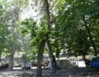 عملیات سم پاشی درختان پردیس شهر دانشگاه ارومیه 
