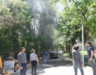 عملیات سم پاشی درختان پردیس شهر دانشگاه ارومیه 