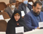 معاون آموزش وزارت علوم تحقیقات و فناوری در شورای آموزش عالی آذربایجان غربی: مهارت آفرینی در دانشگاهها توسعه یابد
