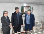 آغاز بهره بردای از مرغداری آموزشی تحقیقاتی دانشگاه ارومیه  