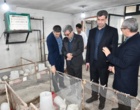 آغاز بهره بردای از مرغداری آموزشی تحقیقاتی دانشگاه ارومیه  