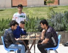 افتتاحیه جشنواره ورزش های همگانی دانشگاه ارومیه