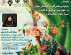 گزارش تصویری افتتاحیه نخستین جشنواره بازی‌های بومی محلی دانشجویان بین المللی در ایران در دانشگاه ارومیه