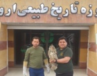 نجات گونه نادری از پرندگان توسط یاور علمی دانشگاه ارومیه 