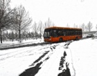 دانشگاه ارومیه سفید پوش شد (گزارش تصویری)