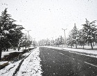 دانشگاه ارومیه سفید پوش شد (گزارش تصویری)