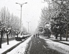 دانشگاه ارومیه سفید پوش شد (گزارش تصویری)