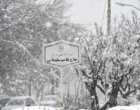 دانشگاه ارومیه سفید پوش شد (گزارش تصویری)