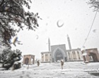 دانشگاه ارومیه سفید پوش شد (گزارش تصویری)