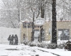 دانشگاه ارومیه سفید پوش شد (گزارش تصویری)
