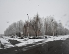 دانشگاه ارومیه سفید پوش شد (گزارش تصویری)