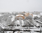 دانشگاه ارومیه سفید پوش شد (گزارش تصویری)
