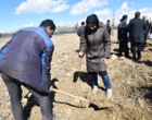 همزمان با مراسم گرامیداشت شهدای دانشگاه؛ 290 نهال به یاد 29 شهید دانشگاه ارومیه کاشته شد