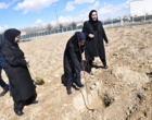 همزمان با مراسم گرامیداشت شهدای دانشگاه؛ 290 نهال به یاد 29 شهید دانشگاه ارومیه کاشته شد