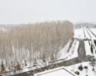 دانشگاه ارومیه سفید پوش شد (گزارش تصویری)