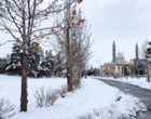دانشگاه ارومیه سفید پوش شد (گزارش تصویری)