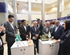 گزارشی از مراسم افتتاحیه اولین رویداد فناورانه زنجیره ارزش انگور «فن‌تاک»  به میزبانی دانشگاه ارومیه