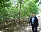 بازدید سرپرست دانشگاه ارومیه از باغات و مزارع کشاورزی دانشگاه