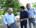 بازدید سرپرست دانشگاه ارومیه از طرح های آبیاری نوین پژوهشکده دریاچه ارومیه در سطح باغات در جهت کاهش مصرف آب (+فیلم)