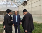 بازدید مشاور اقتصادی وزیر علوم، تحقیقات و فناوری از دانشگاه ارومیه 