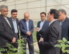 بازدید مشاور اقتصادی وزیر علوم، تحقیقات و فناوری از دانشگاه ارومیه 